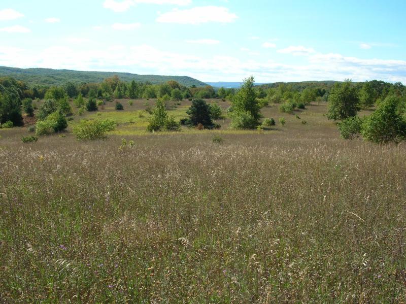 Bayview Trail Fields