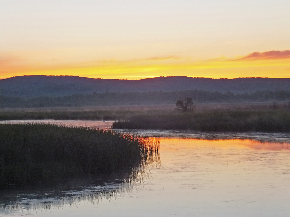 Sunrise on Arcadia Marsh