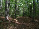 Windy Moraine Trail